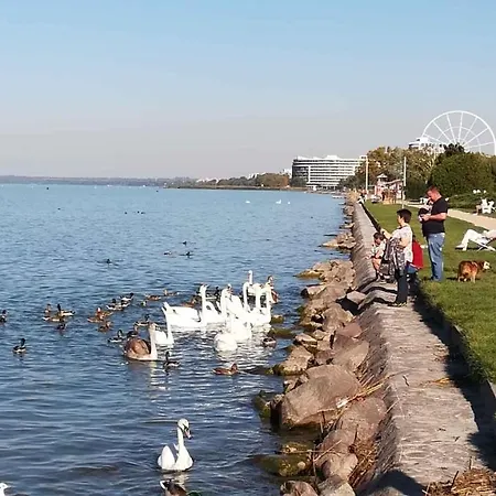 Appartamento In Siofok/balaton 38208 *